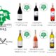 3 GRANDES OROS PARA CELLER BATEA EN GIROVI